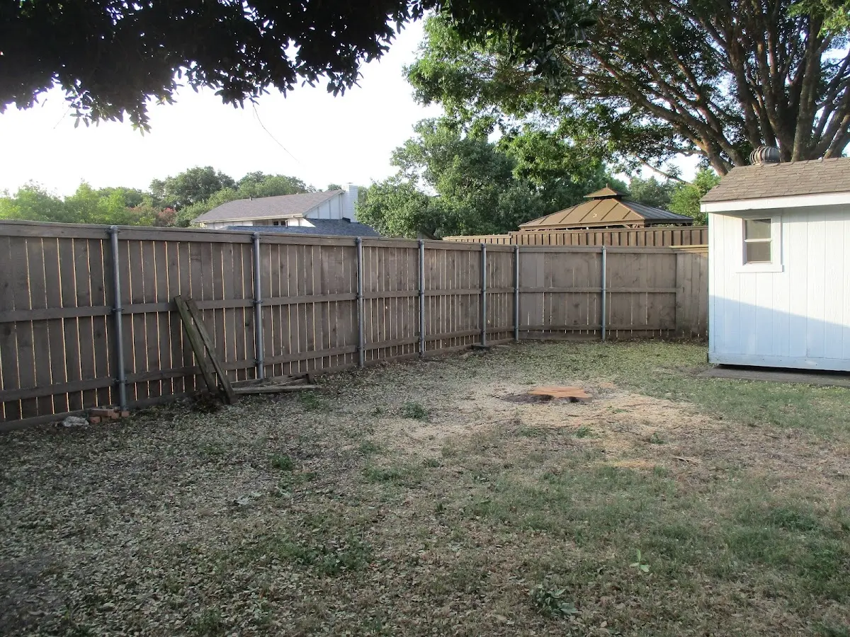 Cleared yard after professional tree removal in Cut Bank