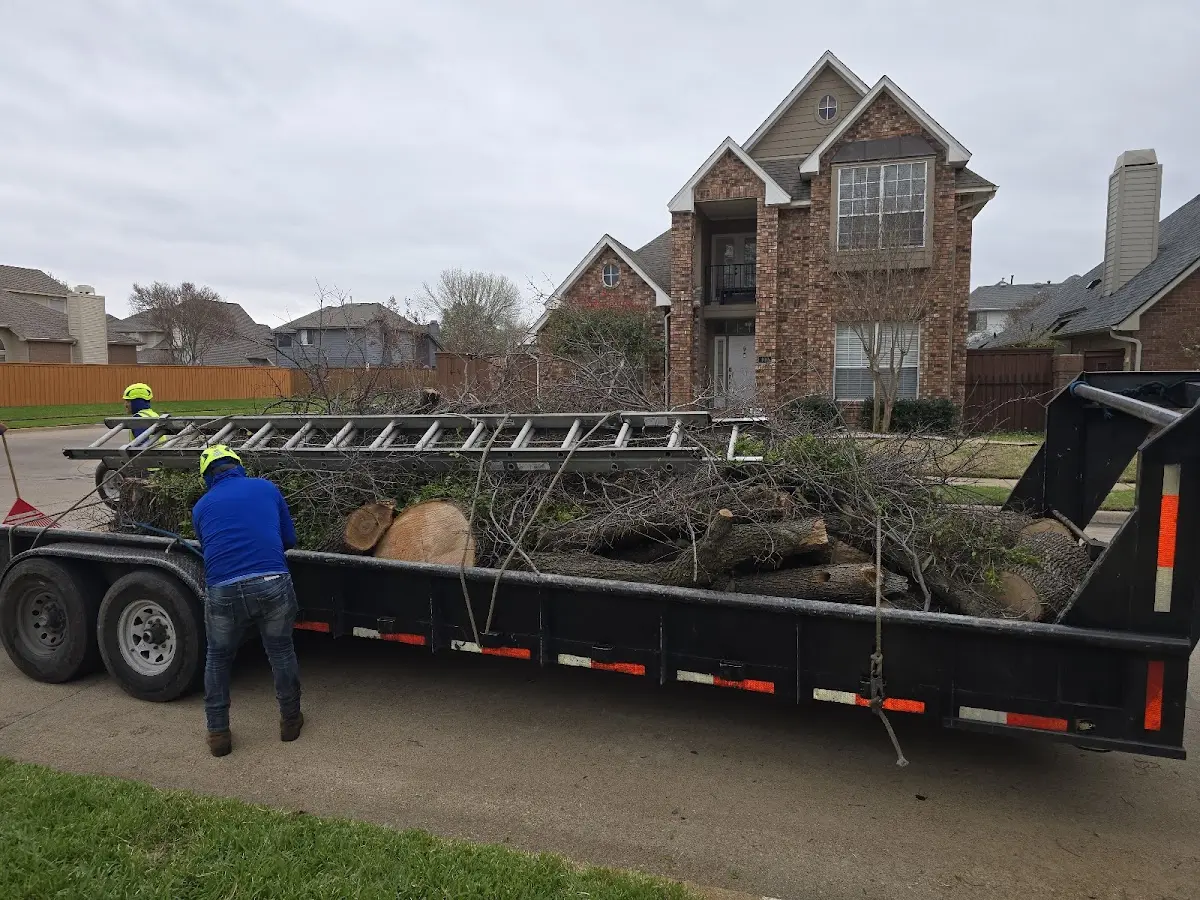Expert Tree Fertilization with proper safety equipment in Cut Bank